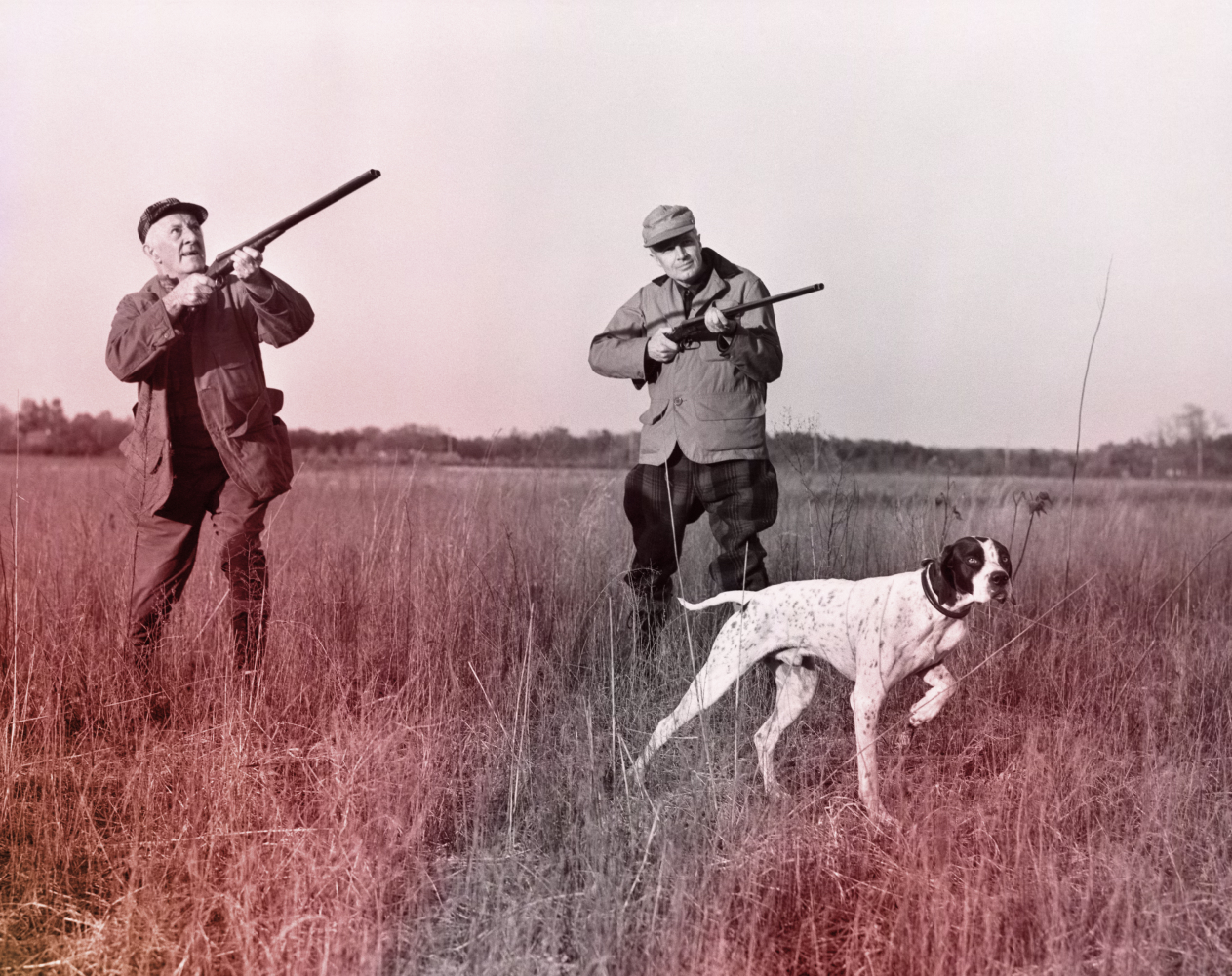 Фотография двух охотников, высматривающих дичь в небе. Перед ними застыла охотничья собака